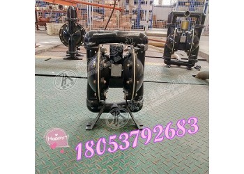 廠家批發(fā)氣動隔膜泵BQG150/0.2隔膜，O型圈