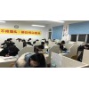 中級(jí)會(huì)計(jì)培訓(xùn)哪里找/青島格物教育