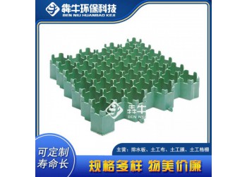 湛江市小區(qū)車(chē)位綠化塑料植草格