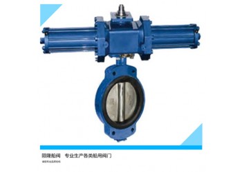 船用壓載艙浸沒(méi)式液壓蝶閥/法蘭式手液動(dòng)蝶閥JIS F7480