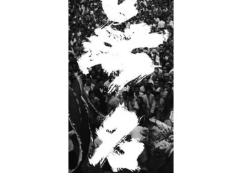 無名投資門檻高嗎？投資收益預計有多少？怎么參與？