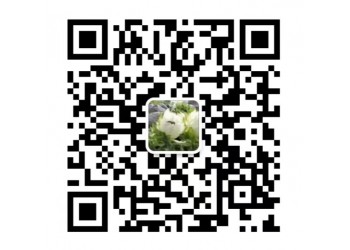 《奇門遁甲2》投資該怎么投？風險小嗎？收益如何？