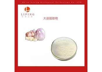 大蒜提取物大蒜素1%價格 大蒜粉供應(yīng)