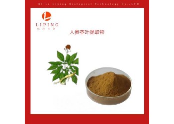 人參莖葉提取物人參皂甙80%UV 植物濃縮粉價(jià)格