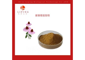 櫟萍生物推薦紫錐菊提取物紫錐菊多酚4% U檢測(cè)