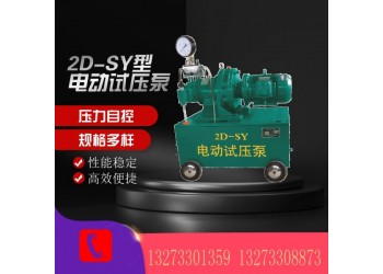 衡水廠家供應(yīng)2DSY電動(dòng)試壓泵設(shè)備