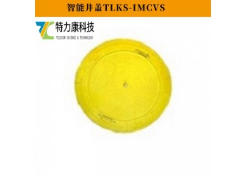 5G+AI 智能井蓋防入侵監(jiān)測系統(tǒng) | 實時視頻監(jiān)控