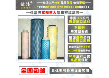 蒸汽過(guò)濾器FLS-1/8 FLS-2/8除菌過(guò)濾器定期殺菌