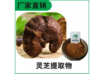 森冉生物 靈芝提取物 靈芝多糖 赤芝提取物 多種規(guī)格原料粉